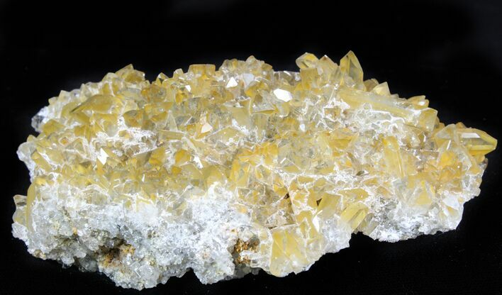 Plate Of Gemmy, Chisel Tipped Barite Crystals - Mexico #78139